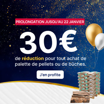 30 euros offerts sur les palettes de pellets et les bûches premium